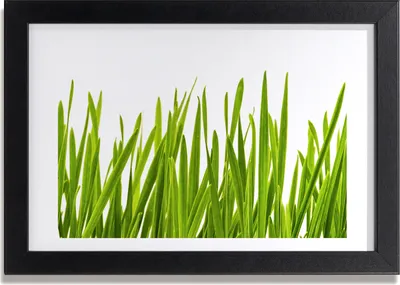 Produktbild von Bild 30x20 MDF-Rahmen, Wandkunst Gras