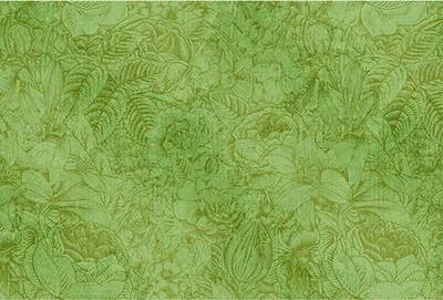 Produktbild von Tadessi Fototapete | Blumen | 4.00 m x 2.70 m | Grün |  | Wandbild | Digitaldruck