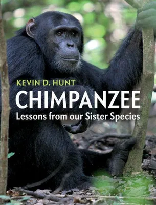 Produktbild von Chimpanzee