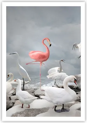 Produktbild von Poster - Poster ohne Rahmen - Flamingo Schwan Fantasie - 70x100 cm - Wand Bild - Wanddeko - Wandbilder - Kunstposter - Wandposter - Bilder - Kunstdruck - Wanddekoration - Wandbild - P2XPA70x100-4929