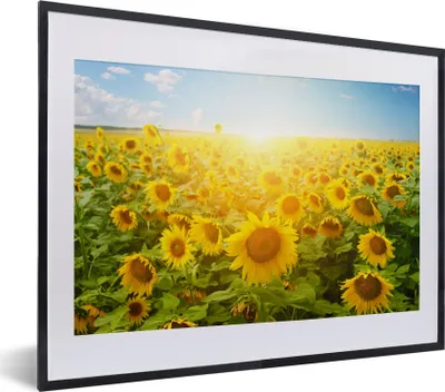 Produktbild von MuchoWow® Gerahmtes Poster Sonnenblume - Sonne - Wolken 40x30 cm - Poster mit Schwarzem Bilderrahmen Wandposter Rahmen Foto Bilder - Bilderrahmen - Poster im Rahmen