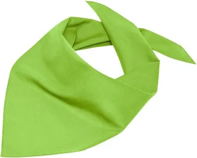 Produktbild von Triangular Scarf Multifunktionelles Dreieck-Tuch lime-green, Gr. one size