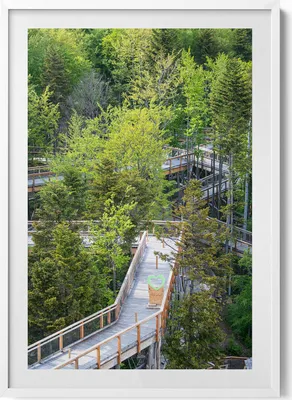 Produktbild von Ein Weg in Krynica Zdrój– Wandbild mit Rahmen – Gerahmtes Bild  – Wanddekoration – 70x100 cm –  Weiß Rahmen