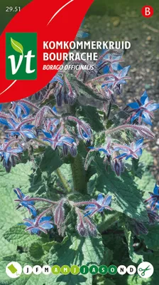 Immagine prodotto di Semi di cetriolo - Circa 1,5 gr | VT_2951