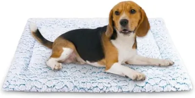 Imagen del producto de Cama para perros, de felpa, cálida y lavable, de 75 x 50 cm, ideal para perros de tamaño mediano, y apta para diversos usos