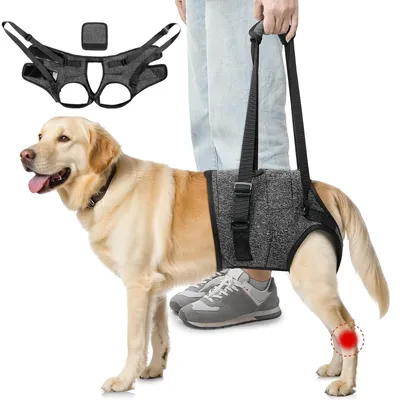 Productafbeelding van Solidchoice - Verstelbaar Hondentuig voor Achterpoten met Comfortabele Pasvorm voor Honden met Beperkingen