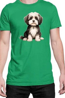 Produktbild von Herren T-Shirt Dogs Breeds Collie Dog Breed 005, Man L / Grün