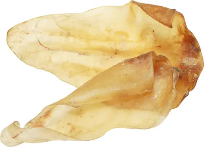 Produktbild von 5x180g - Schecker DOGREFORM getrocknete Rinderohren - herzhaft - fettarm ca. 50 Stück