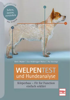 Obrázek produktu pro Welpentest und Hundeanalyse