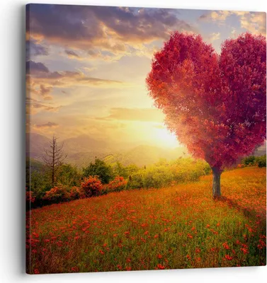 Produktbild von Bild auf Leinwand - Leinwandbild - Baum Wiese Blume - 40x40cm - Wand Bild - Wanddeko - Wandbilder - Leinwanddruck - Bilder - Kunstdruck - Wanddekoration - Leinwand bilder - Wandkunst - AC40x40-3790