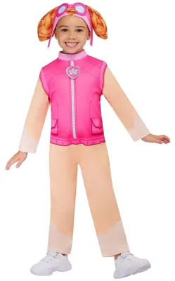 Produktbild von Paw Patrol - Blumen-Kostüm für Kinder ‘” ´"Skye"“ Set BN6467 (104) (Pink/Beige)