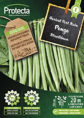 Productafbeelding van Protecta Groente zaden: Extrafijne struikboon PONGO
