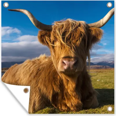 Produktbild von MuchoWow® 100x100 cm Outdoor-Poster Gartendeko Sichtschutz Garten Poster für den Garten  Schottische Highlander - Licht - Natur