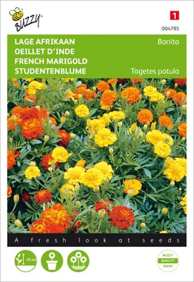 Artikelbild 2 von 'Studentenblume Bonita' aus der Kategorie Studentenblumensamen
