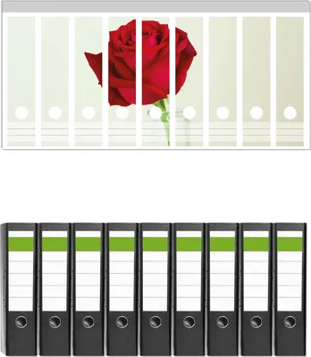 Produktbild von Wallario 9 Stück breite Ordner inkl. Klebeetiketten mit Motive Rote Rose in Glasvase -  Set mit Rückenschildern / Ordnerrücken Stickern