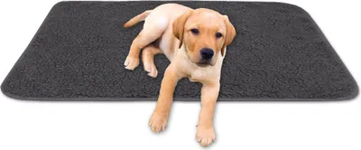 Immagine prodotto di Coperta in lana d'agnello per animali, dimensioni: 70x100cm, colore: antracite