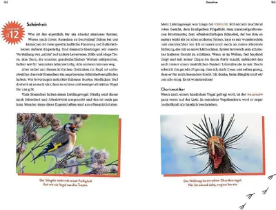 Image de Die Superkräfte der Vögel
