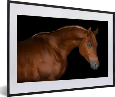 Produktbild von MuchoWow® MuchoWow® Gerahmtes Poster Pferd - Schwarz - Braun 60x40 cm - Poster mit zchwarzem Bilderrahmen - Schlafzimmer - Plakat in Rahmen - Drucken