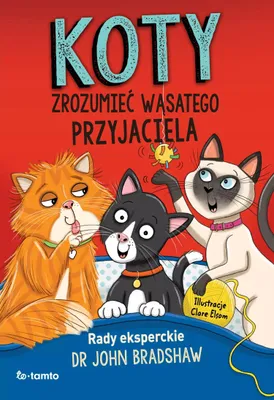 Produktbild von Koty