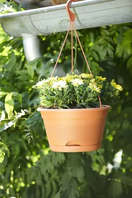 Obrázok produktu pre Závesný kvetináč plastový Elho Green Basics 28 cm terakota