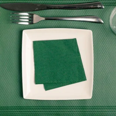 Zdjęcie produktu dla Serwetka 2-warstwowa w kolorze zielonym 20x20cm, 100szt