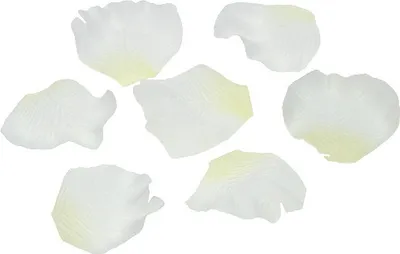 Produktbild von Creme Rosenblätter Deko Hochzeit Künstlich 75 Stück