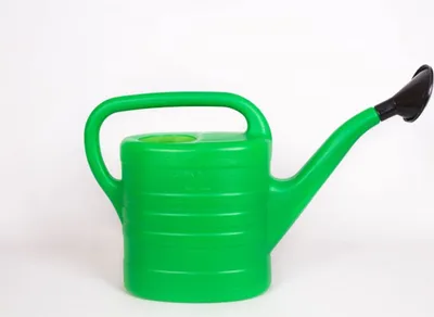 Image de Arrosoir 10 l vert plastique avec pomme de douche emboîtable
