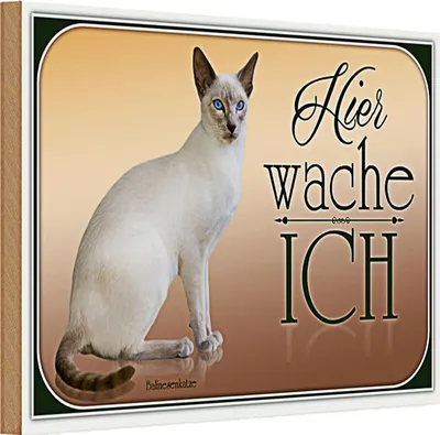 Produktbild von Holzschild Katze 30x20cm Balinesenkatze hier wache ich