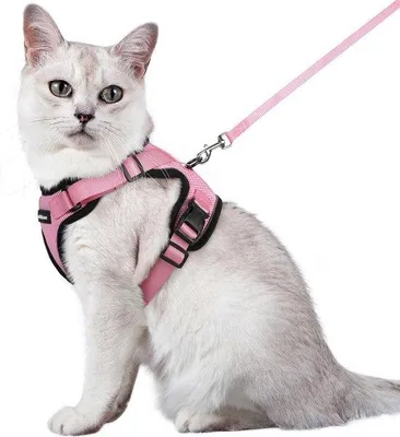 Produktbild von Famanu Katzenharness mit Leine, weiches und verstellbares Katzenharness, rosa, M