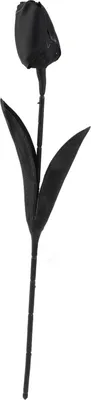 Image de Fleurs de Tulipes Artificielles Tissu de Soie Noir Fil de Fer Décoratif Simulation Faux Fleur pour Mariage Fête Maison