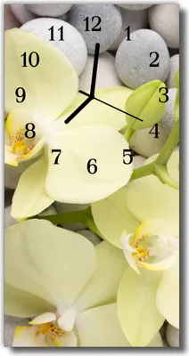 Produktbild von Tulup Glasuhr Wanduhr Küchenuhr Echt-Glas 30x60 Orchideen Steine Mehrfarbig