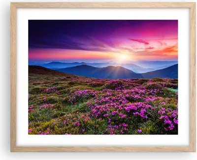 Produktbild von Gerahmtes Poster - Rahmen in heller Eiche - Wiese Berg Himmel Landschaft - 50x40 cm - Wand Bild - Wanddeko - Wandbilder - Wandposter - Bilderrahmen - Bilder - Kunstdruck - Wandbild - P2NAA50x40-2719