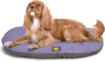 Productafbeelding van Honden- en kattenkussen voor middelgrote dieren - Wasbaar kussen van katoen - Lila - 78 x 50 cm