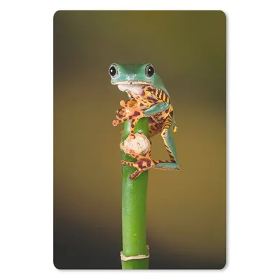 Produktbild von MuchoWow® Mauspad Mousepad Frosch auf grüner Pflanze, Nahaufnahme 18x27 cm - Mousepads - Maus Mat - Pad - Mausunterlage