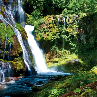 Produktbild von Wasserfälle Kunstdruck Bild - Gebirgswasserfall In Grüner Waldlandschaft (70 x 70 cm)
