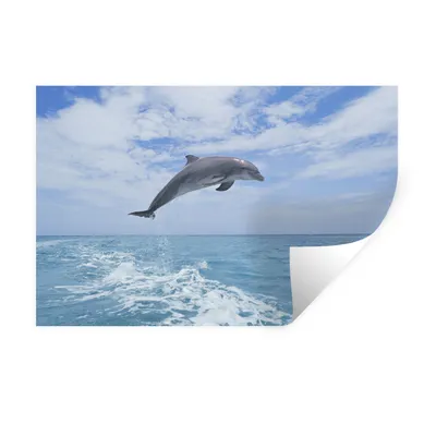 Produktbild von MuchoWow® Wandtattoo Wandsticker Wandaufkleber Delfin - Meer - Himmel 120x80 cm Selbstklebend und Repositionierbar - Selbstklebend - Fototapeten