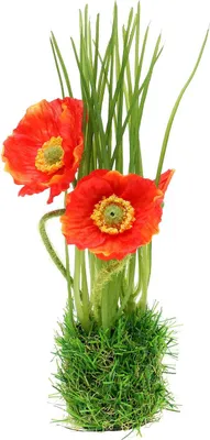 Produktbild von Künstliche Sommerblume im dekorativen Grasbüschel