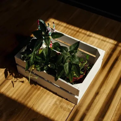 Produktbild von Creative Deco Weiße Holzkiste - 40 x 30 x 15 cm - Geschliffen - Kiste Holz