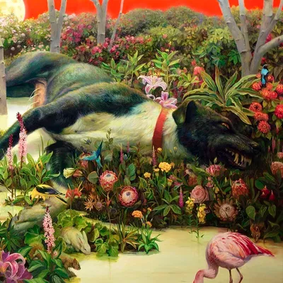 Image de ImportCDs Feral Roots, Pop Rock, CD, Support physique, Mature, 1 disques, 24/01/2019