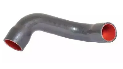 Image de BUGIAD Tuyau d'air de suralimentation