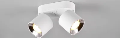 Produktbild von TRIO Aufbauspot GUAYANA 651000231 f. 2xGU10 H120mm Metall Weiß, schwenkbar