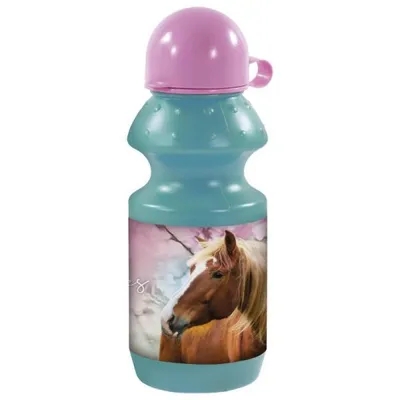 Produktbild von 19 K Wasserflaschenpferde