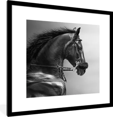 Produktbild von MuchoWow® MuchoWow® Gerahmtes Poster Pferde - Schwarz - Porträt - Tiere 40x40 cm - Poster mit zchwarzem Bilderrahmen - Poster - Plakat im Rahmen