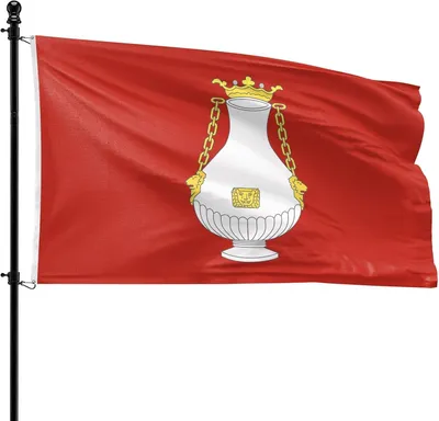 Imagen del producto de Bandera del municipio de Vlissingen, 90 x 150 cm, de poliéster, para asta de bandera