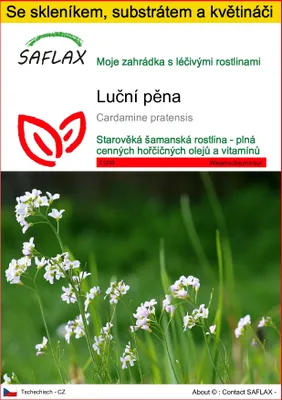 Obrázek produktu pro SAFLAX Kultivační sada - luční pěna - Cardamine pratensis - 100 Semena - S mini skleníkem, pěstebním substrátem a 2 květináči