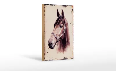 Produktbild von Holzschild Retro 12x18cm Portrait Pferd Kopf Schild