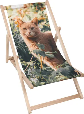 Produktbild von Dreamroots Liegestuhl klappbar Holz, Buchenholz bis zu 130 kg, Sonnenliege klappbar mit 3-stufiger Neigungsregulierung der Rückenlehne, Red Cat