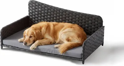 Produktbild von Relaxdays Hundebett Rattan, XL, HBT: 38x87x49 cm, erhöhtes Hundeliege mit Kissen, Hundesofa, outdoor & indoor, grau