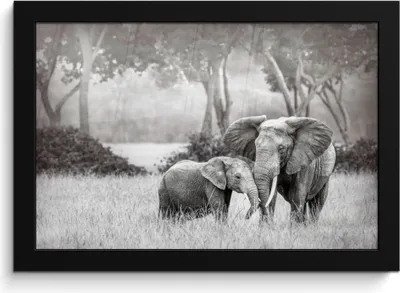 Produktbild von MuchoWow® MuchoWow® Gerahmtes Poster Elefant - Tiere - Natur - Schwarz und weiß 30x20 cm - Poster mit zchwarzem Bilderrahmen - Kunstdruck - Bild-Poster