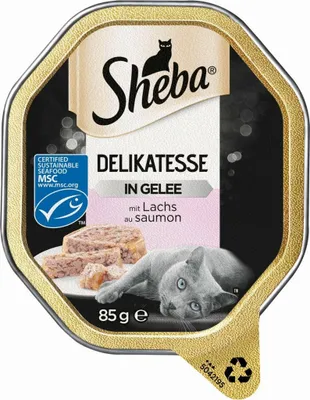 Produktbild von Sheba mit Lachs MSC in Gelee - Delikatesse, Adult, Lachs, 85 g